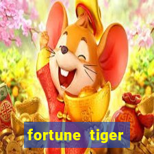 fortune tiger aposta 1 real